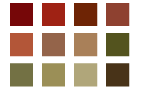 color palette